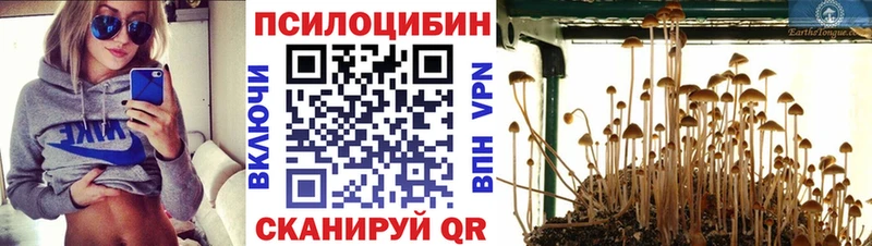 Галлюциногенные грибы GOLDEN TEACHER  где купить   hydra ССЫЛКА  Лагань 
